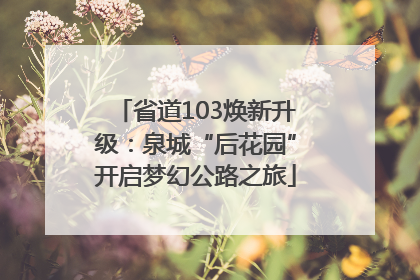 省道103焕新升级：泉城“后花园”开启梦幻公路之旅